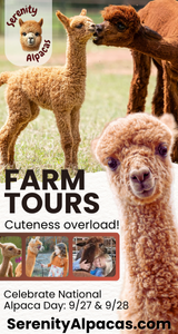 Seerenaty alpaca 